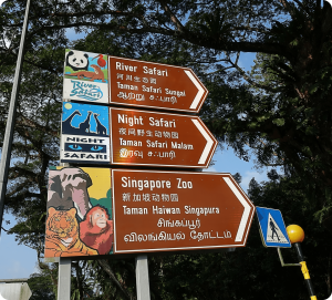 Mask group-2-min (2)